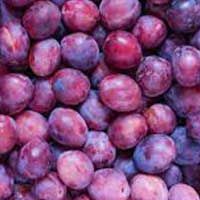 Plum